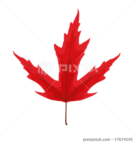 Autumn Natural Leaf Icon Vector Illustration - Stock Illustration ...