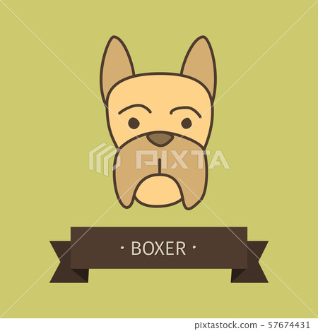 Boxer breed dog for logo design Boxer breed dog for logo design 57674431