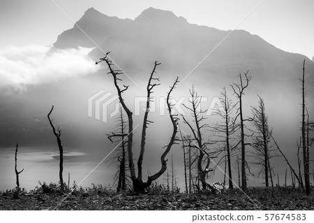 Waterton Lakes National Park, Alberta, Canada 57674583