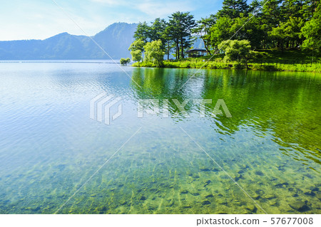 Fresh green and Lake Numazawa 57677008