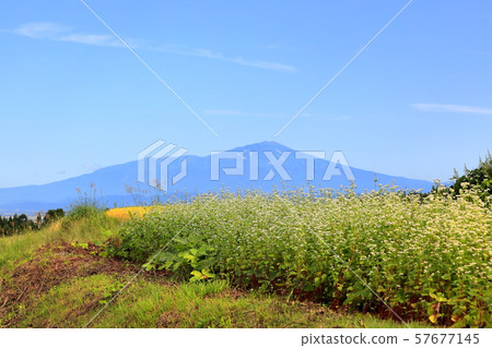 Shonai plain autumn scenery 57677145