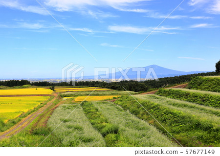 莊內平原秋天的風景 57677149