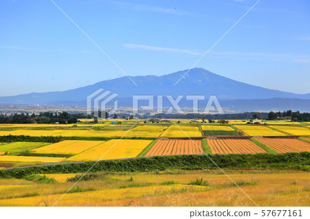莊內平原秋天的風景 莊內平原秋天的風景 57677161