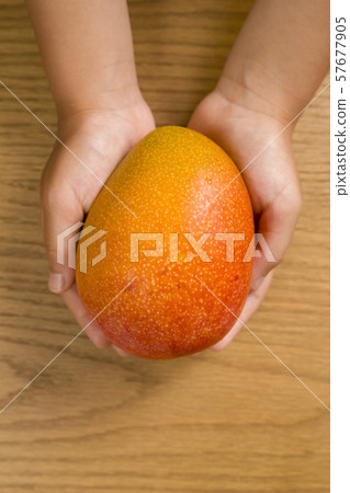 孩子的手用芒果 57677905