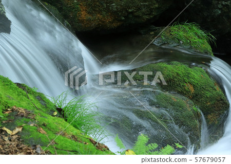 Summer mountain stream Summer mountain stream 57679057