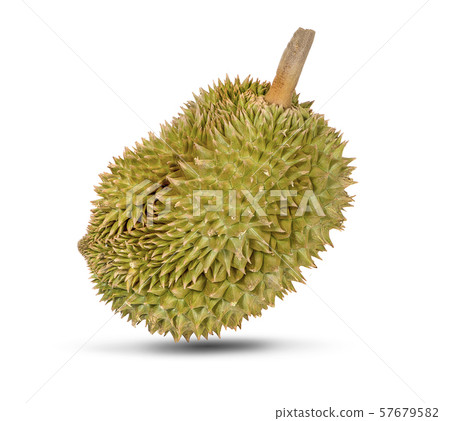 Durian fruit isolated on white background. 57679582