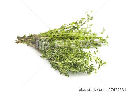 Thyme isolated on white background. 57679584