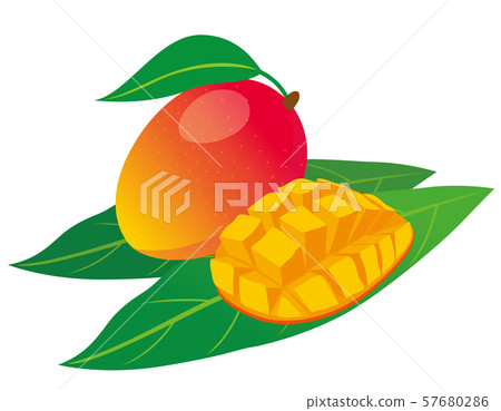 mango mango 57680286