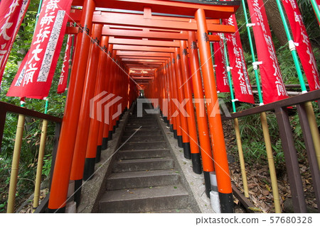 在神社靖國神社的鳥居 57680328