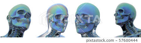 3d rendering illustration of skull bone collection 57680444