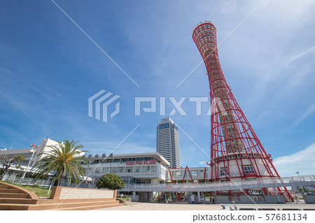Kobe Port Tower 57681134