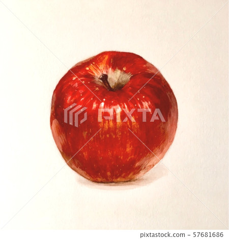 蘋果水彩靜物著色透明水彩 插圖素材 圖庫