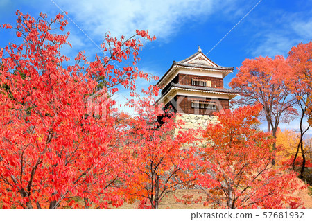 Autumn leaves of Ueda castle Autumn leaves of Ueda castle 57681932