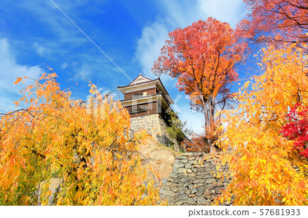Autumn leaves of Ueda castle Autumn leaves of Ueda castle 57681933