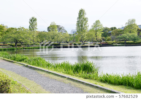 Chiba Lake, Mito City, Ibaraki Prefecture Chiba Lake, Mito City, Ibaraki Prefecture 57682529