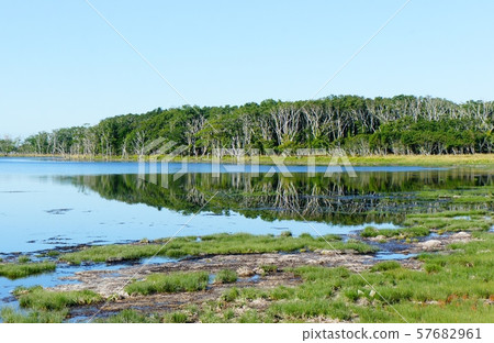 Scenery reflected on the surface of the water 57682961