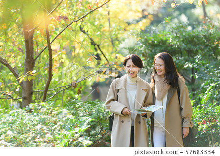 旅行，女性，秋天 57683334