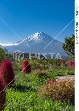 [富士山富士山] 57683866