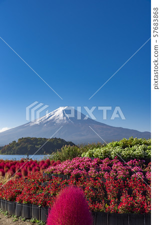 [富士山富士山] 57683868