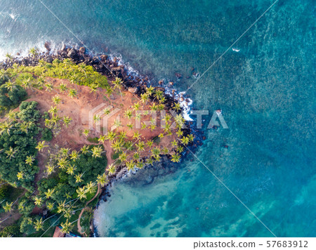Aerial view of coconut trees at seaside the Aerial view of coconut trees at seaside the 57683912