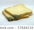 close up two growing bread mold (Rhizopus) on 57684210