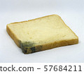 close up single growing bread mold (Rhizopus) on 57684211