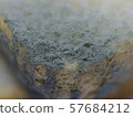 close up texture of growing bread mold (Rhizopus). 57684212