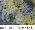 close up texture of growing bread mold (Rhizopus). 57684214