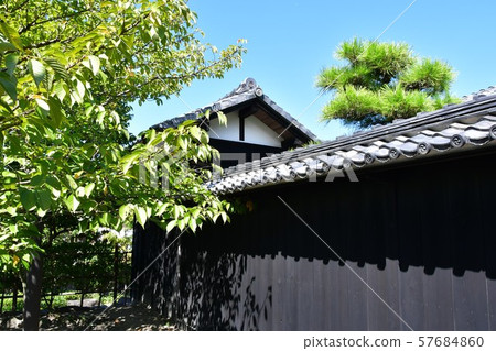 Toki Earthquake 57684860