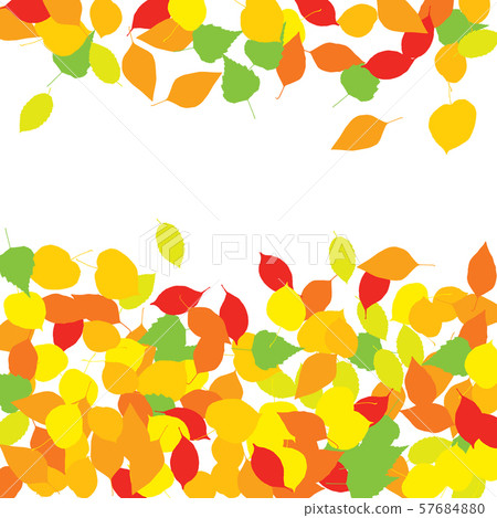 Colourful Autumn Leaves Pattern on White Colourful Autumn Leaves Pattern on White 57684880