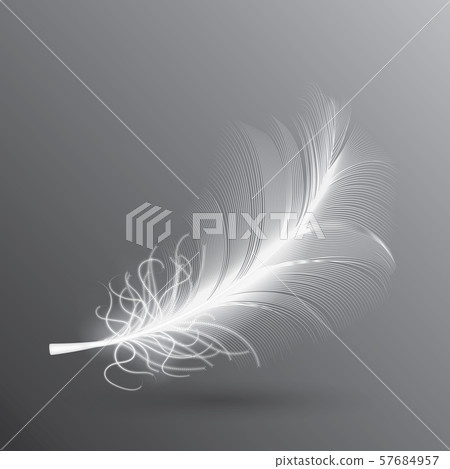 White Flying Bird Feather Isolated on Dark White Flying Bird Feather Isolated on Dark 57684957
