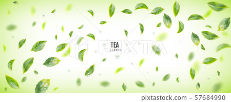 Flying Fresh Green Tea Leaves Vector Background - Stock Illustration ...