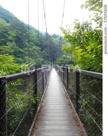Retrospective suspension bridge 57685606