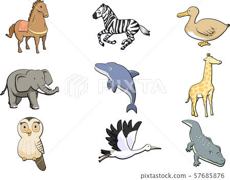 Animals and animals Animals and animals 57685876