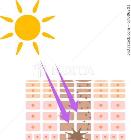 Illustration of UV and melanin generation - Stock Illustration ...
