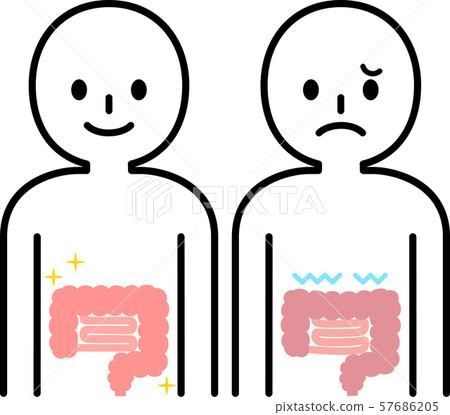 健康和不健康的腸道數字 57686205