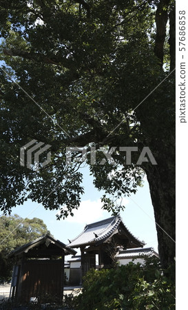 位於松阪市的淺田寺,與日本淺座一起受歡迎 位於松阪市的淺田寺,與日本淺座一起受歡迎 57686858