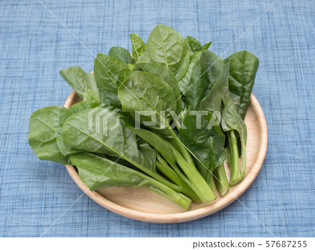 木耳菜 木耳菜 57687255