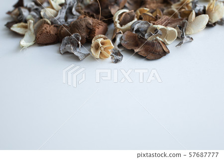 Flowers composition. Frame made of dried rose flowers on white background 57687777