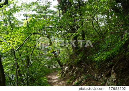 通往本州最東端的Todogaga燈塔之路 通往本州最東端的Todogaga燈塔之路 57688202