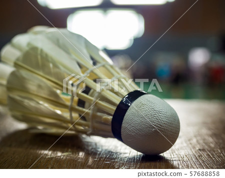 Closeup shot of White badminton shuttlecock on parquet floor. Closeup shot of White badminton shuttlecock on parquet floor. 57688858
