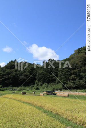 Okikuji rice farm, Daigo-machi, Ibaraki Okikuji rice farm, Daigo-machi, Ibaraki 57689493