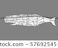 Whale carrying architecture 57692545