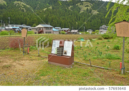 Ichijodani walk, ruins of Tomita Segen Dojo Ichijodani walk, ruins of Tomita Segen Dojo 57693648