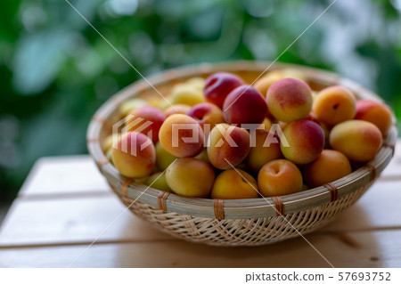Plum juice making Plum juice making 57693752