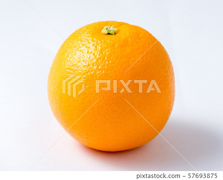 橙 橙 57693875