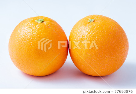 橙 橙 57693876
