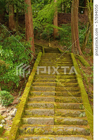 Ichijodani Walk, Kasuga Shrine Ichijodani Walk, Kasuga Shrine 57694050