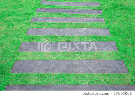 Wooden pathway in the grass garden 57695068