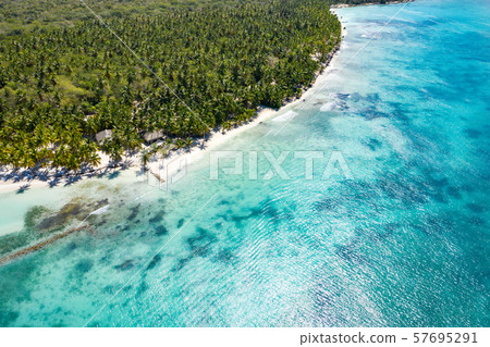 Aerial view on tropical island with coconut palm Aerial view on tropical island with coconut palm 57695291